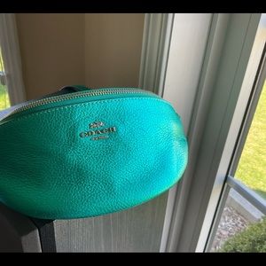 Coach sea green metallic belt bag